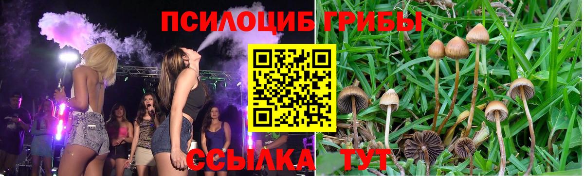 Псилоцибиновые грибы Cubensis  Вход с VPN  Зерноград  Псилоцибиновые грибы MAGIC MUSHROOMS 